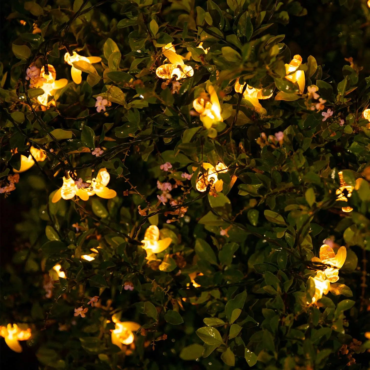 Sončne Čebel Niz Luči na Prostem Čebelami Pravljice Luči za Terasi, Dvorišču, Vrt Travo Poroko Božič Stranka Dekor (Topla Bela)