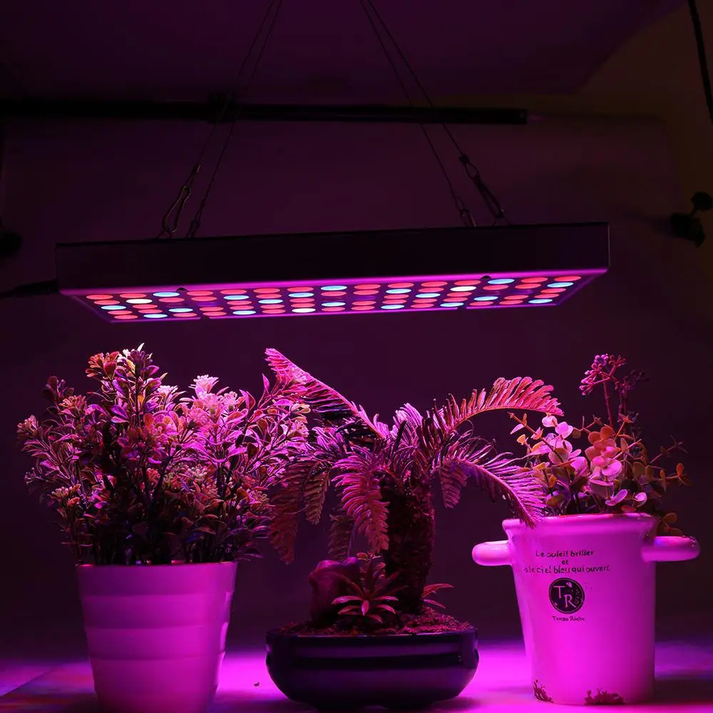 Rastejo Lahka Plošča Okolju Prijazno Rastline Rasti Svetlobe Rastlin Lučka Klonov Mikro Zelenice Varčna Led Grow Light Visoko Svetlost