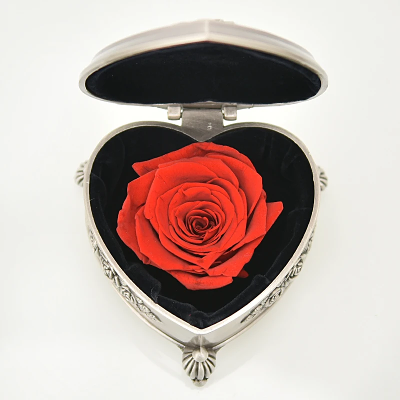 Konzervirane Rose Lepotica in Zver, Sveži Cvet z Vintage Kovinski Nakit Polje Christams Valentinovo Darila za Njo Dropshipping