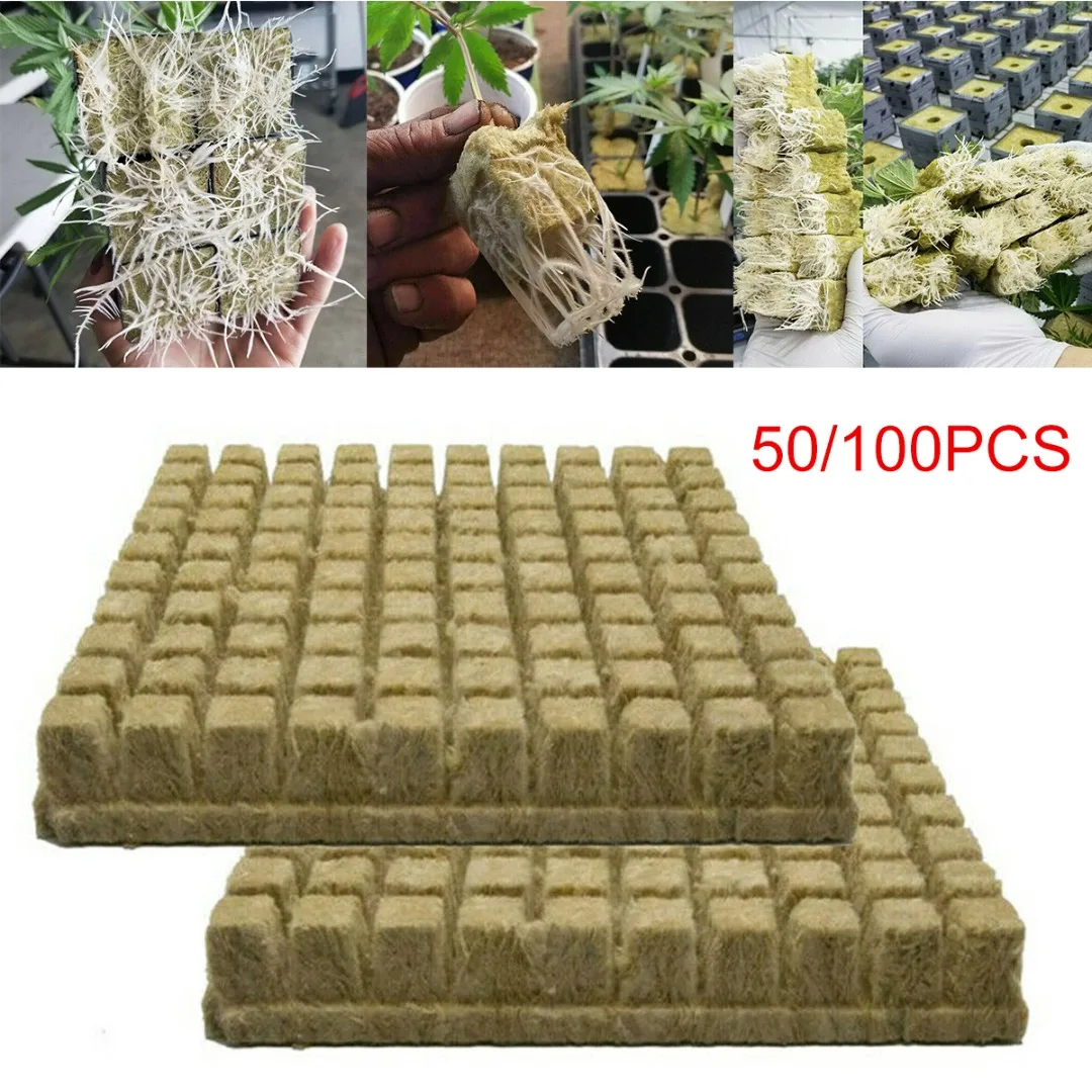 50/100 kozarcev Rockwool Stanja Širjenja Kloniranje Semena Dvig Hydroponic Blok Za Botanični Obdelanost In Poseljenost