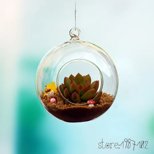 8pc DIA 6/8/10 CM visi krog stekla, zraka, rastlin, terariji mehurček kristalno kroglice cvet svetu vaza za poroko strop odlikovanja