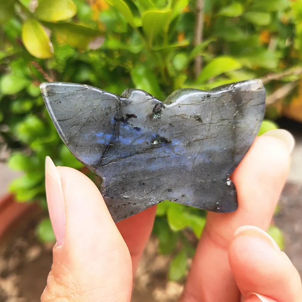 Čudovito Naravno Sijoča labradorite kristalno metulj Feldspar quartz Metulji Božič zdravljenje