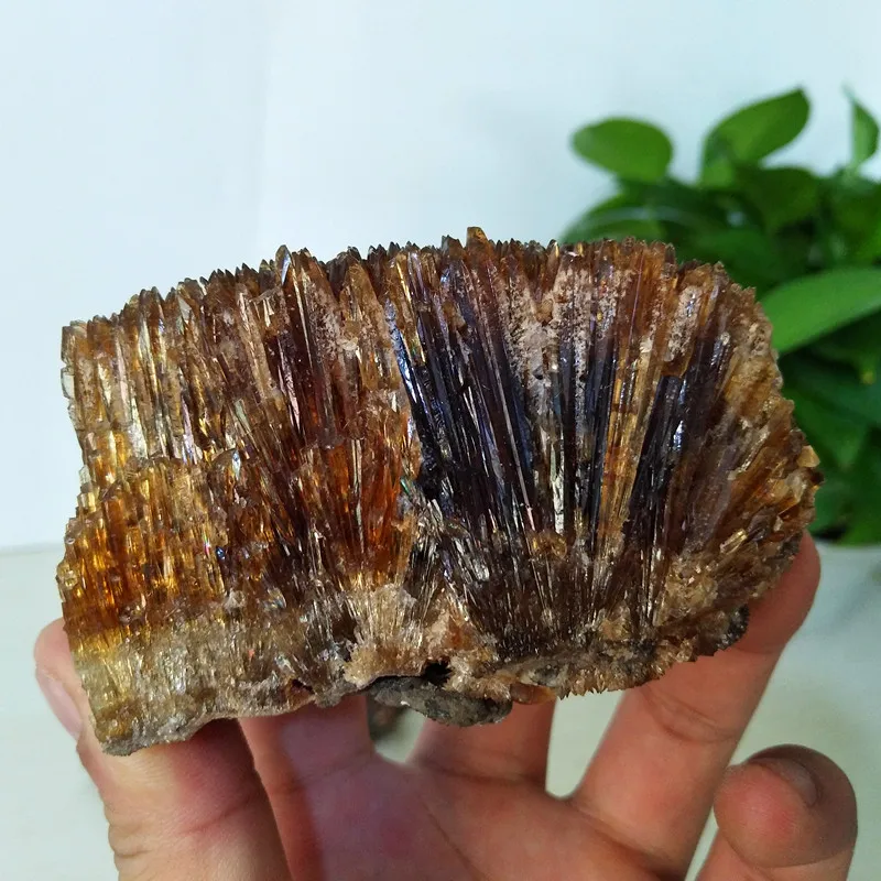50-400g Redkih naravnih amber apnenčastega kamna za kristalno mineralnih primerka izvirnika Surovega kamna kristali