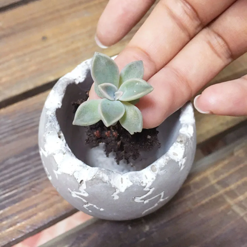 10 cm cementa cvetlični lonček silikonsko plesni ustvarjalne crack jajčne lupine konkretne sočna rastlin cvetlični lonček plesni