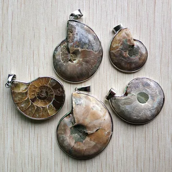 Debelo 8pcs/veliko moda Naravnega Kamna Ammonite Polžje lupine Fosili obeski za nakit, Pribor, zaradi česar brezplačna dostava