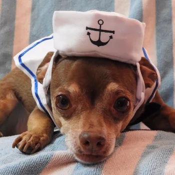 Smešno Hišnih Mačk Kostume Majhen Pes Zajec Oblačila, Oblačila Za Noč Čarovnic Cosplay Mornar Mornarica Oblačila Jakno Plašč Psa Dodatki