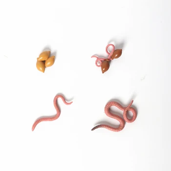 Simulacija Earthworm,Kobilica,Bogomolke,Polž življenjskim ciklom Živali Model zbirke figuric Poučevanja Izobraževalne igrače