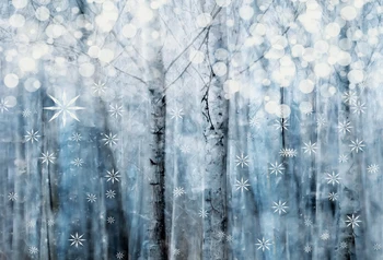 Zimski Gozd Okolij Za Fotografiranje Snežinka Star Drevo Sanjsko Polka Pike Svetlobe Bokeh Panoramska Fotografija Ozadje Foto Studio