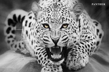 Po Meri Platno Umetnosti Leopard Plakat Leopard Živali Ozadje Črno In Belo Stenske Nalepke Božič Zidana Spalnica Dekoracijo #2589