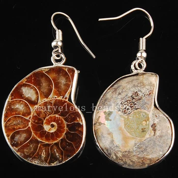 Brezplačna Dostava za Lep nakit Naravnih Ammonite Uhani Par MC3584