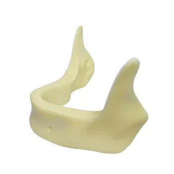 1 Kos Zobni Vsadki Praksi Zob Model z Imitacijo Kosti za Vrtanje Spodnja Čeljust