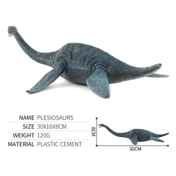 30 cm Plesiosaurs Dinozaver Modeli Živalskih Modelih Izobraževalnih Ukrepov Številke Zbirka Igrač, Daril