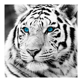 Beli Tiger Glavo Diamond Slikarstvo Živalski Krog Polni Sveder 5D Nouveaute DIY Mozaik Vezenje Navzkrižno Šiv Doma Dekor Darila
