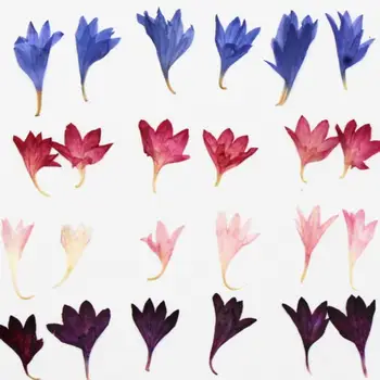 100 kozarcev Centaurea Cornflower Pritisnete Posušen Cvet Polnila Za Epoksi Smolo, Nakit, Izdelava Razglednic Okvir Telefon Primeru Obrti DIY