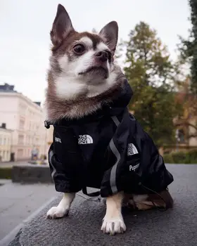 Zimska Oblačila za Pse, Windproof Pse Oblačila Hoodie Windbreaker za Modo Psa Pet Oblačila Majica francoski Buldog Pug Chihuahua