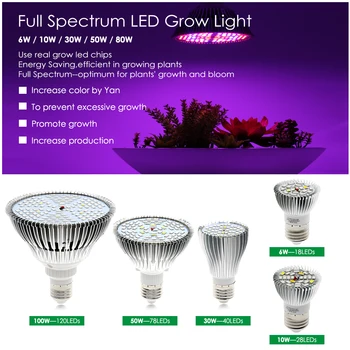 LED Grow Light Celoten Spekter 6W 10W 30W 50 W 80W Rdeča Modra UV, IR Led Raste Lučka Za Hydroponics Cvetje, Rastline, Zelenjava.
