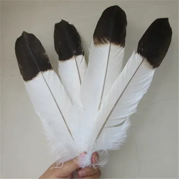 Debelo 5 kos prestrašiti Naravnih veliki beli orel rep perje 40-45cm/16-18-inch Orel Perja Dekorativni diy Nakit dodatki