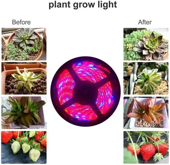 LED Grow Light Trakovi Celoten Spekter USB Rastejo Svetlobe 1m 2m 3m 2835 SMD 5V Ffs Trak za Semena Rastline, Cvetje Hydroponic Toplogrednih