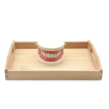 Malčka Montessori Praktično Življenje Gradivo Simulirani Zob Igrača Ščetkanje Zob učni Pripomočki Bambus Čopič z Lesenim Pladnjem