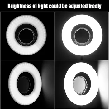 Neewer Zatemniti 8-palčni Mini LED Obroč Svetlobe s prilagodljivim Gooseneck+Mizo Spona+3,5-palčni Ogledalo+Telefon Clip+Mini Stojalo za Lepoto