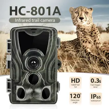 HC801A Lovske Kamere Noč Različica Divje Kamere 16MP 1080P IP65 Foto Past za 0,3 s Sprožilec Divje živali Fotoaparat Varnostne Kamere