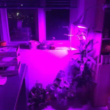 Celoten Spekter 290 LED Rastlin Raste Luči Žarnice Zaprtih Toplogrednih Cvet Rastline Gojiti Raste proizvodnja električne Sončni svetlobi Ffs Lučka