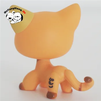 CWM056 Pet Shop Živali Venčni oči Kitty Kaki Mačka lutka akcijska Figura, mucek