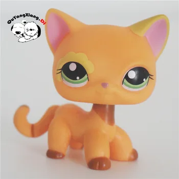 CWM056 Pet Shop Živali Venčni oči Kitty Kaki Mačka lutka akcijska Figura, mucek