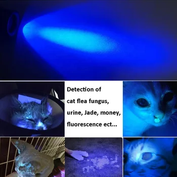 TOPCOM 365nm LED UV Svetilko Prenosni Ultravijolično Svetlobo 3W 5W LED UV Svetilka baterijska Svetilka S Črno Filter za Objektiv Za Hišne Urina Odkrivanje