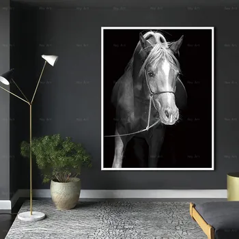 Beli Konj Brez Okvirja Sodobne Platno, Tisk Živali, Poster Tiskanje Wall Art Slike