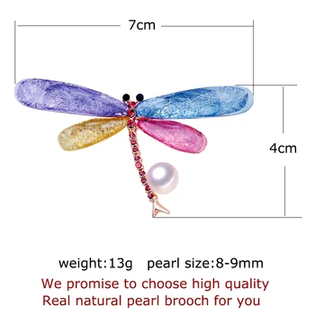 ZHBORUINI 2019 Novo Naravni Biser Broška Pisane Dragonfly Pearl Breastpin Sladkovodnih Biser Nakit Za Ženske, Darilo Dodatki