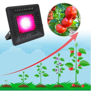 Celoten Spekter COB Rastline LED Grow Light 50 W Raste Lahka Nepremočljiva Hydroponics Cvetje Rastlinskih Ffs Lučka Raste Šotor LED
