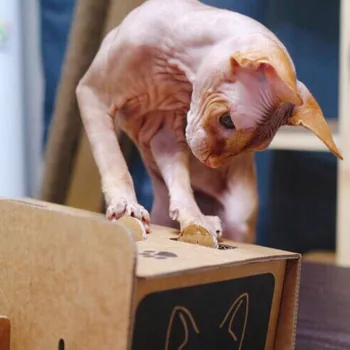 Behogar Smešno, Neverjetno Valovitega Papirja Pet Odstranil-a-mole Interaktivna Igrača za Mačke Mucek Jjeza Igrača